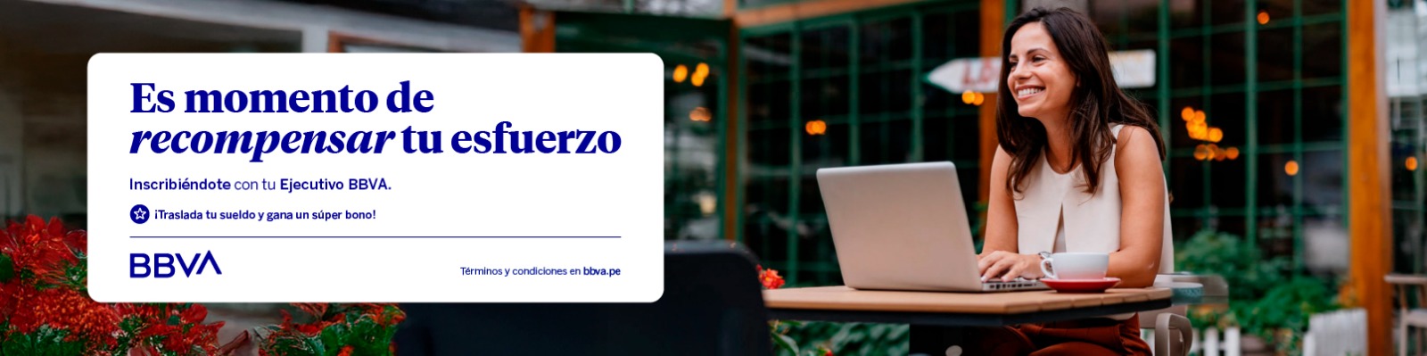 Banner de campaña