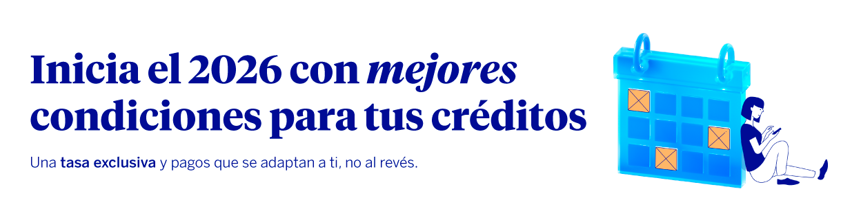 Banner de campaña